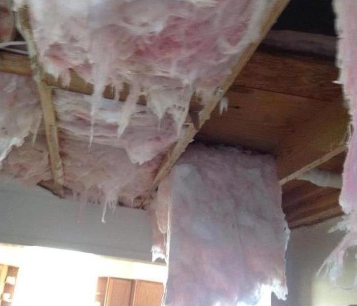 insulation falling out of exposed ceiling in a home in Memphis, TN