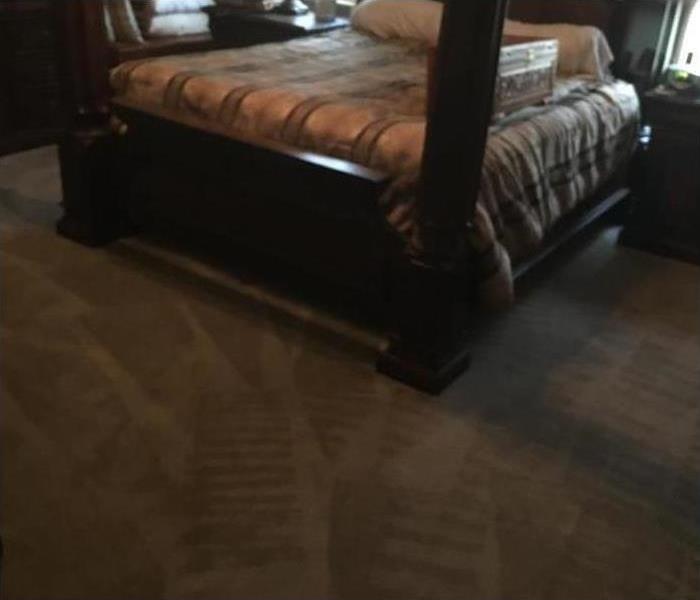 dry, clean carpet in a bedroom in Memphis, TN