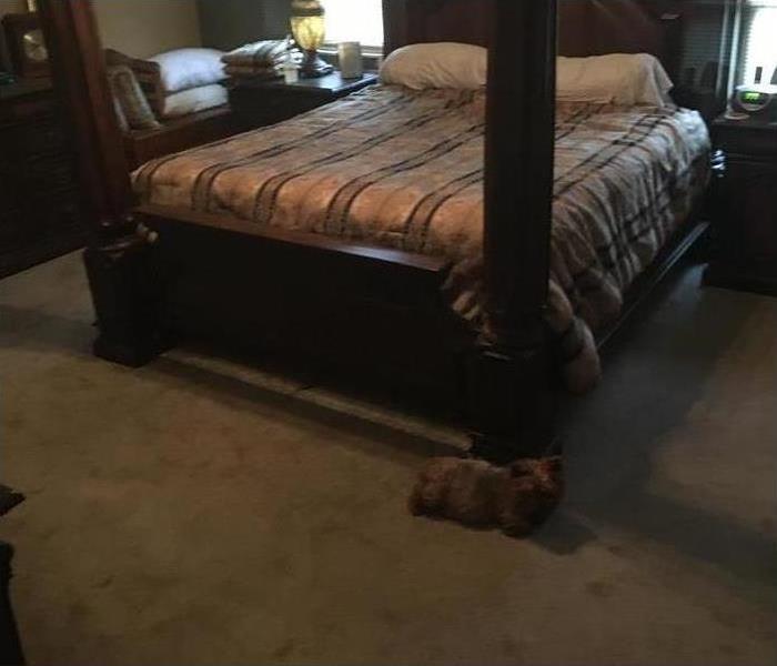 wet carpet in a bedroom in Memphis, TN