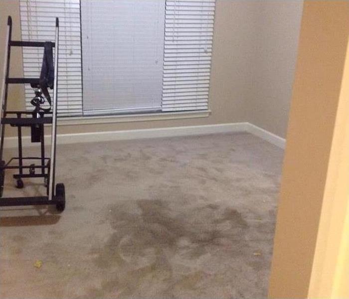 carpet in apartment building soaked with water in Memphis, TN