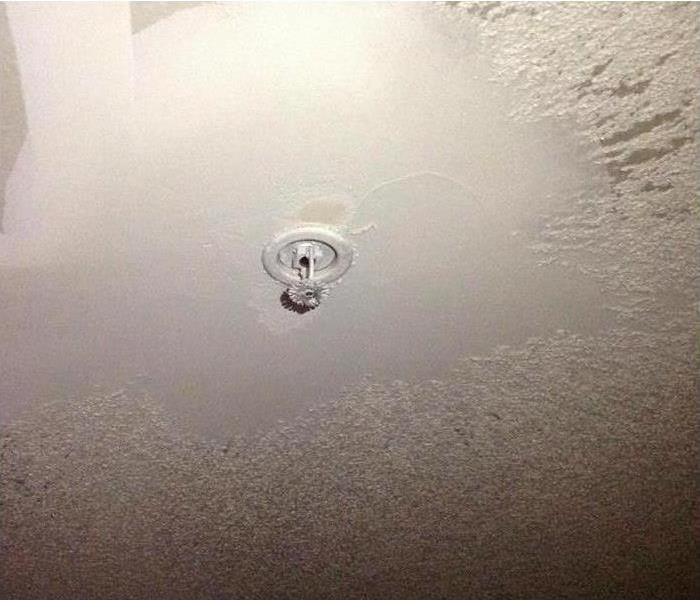 Water damage from sprinkler, ceiling, white popcorn ceiling